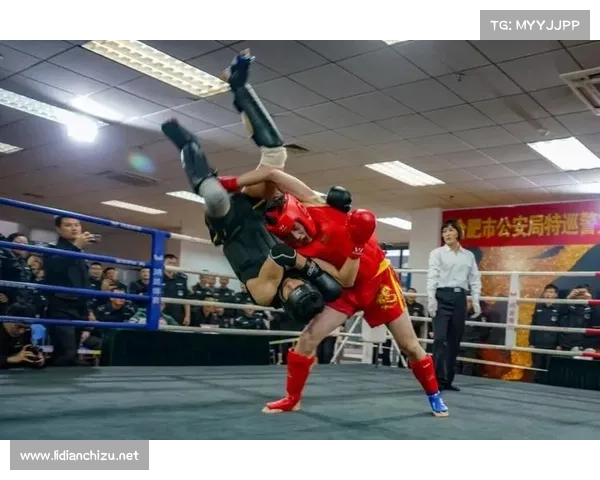 2018最新散打赛事巅峰对决竞技热点与英雄传奇风采回顾