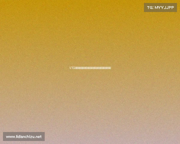 VTG电子竞技盛典火热开启全球顶尖选手激烈角逐冠军荣耀