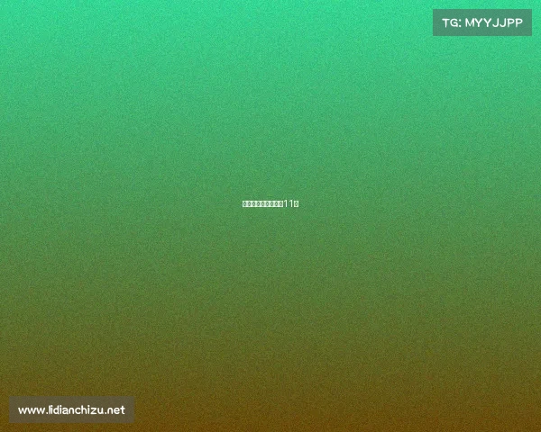 女网赛事、女网赛事11月